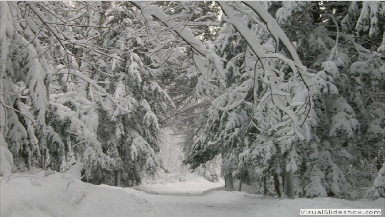 Alcona Township